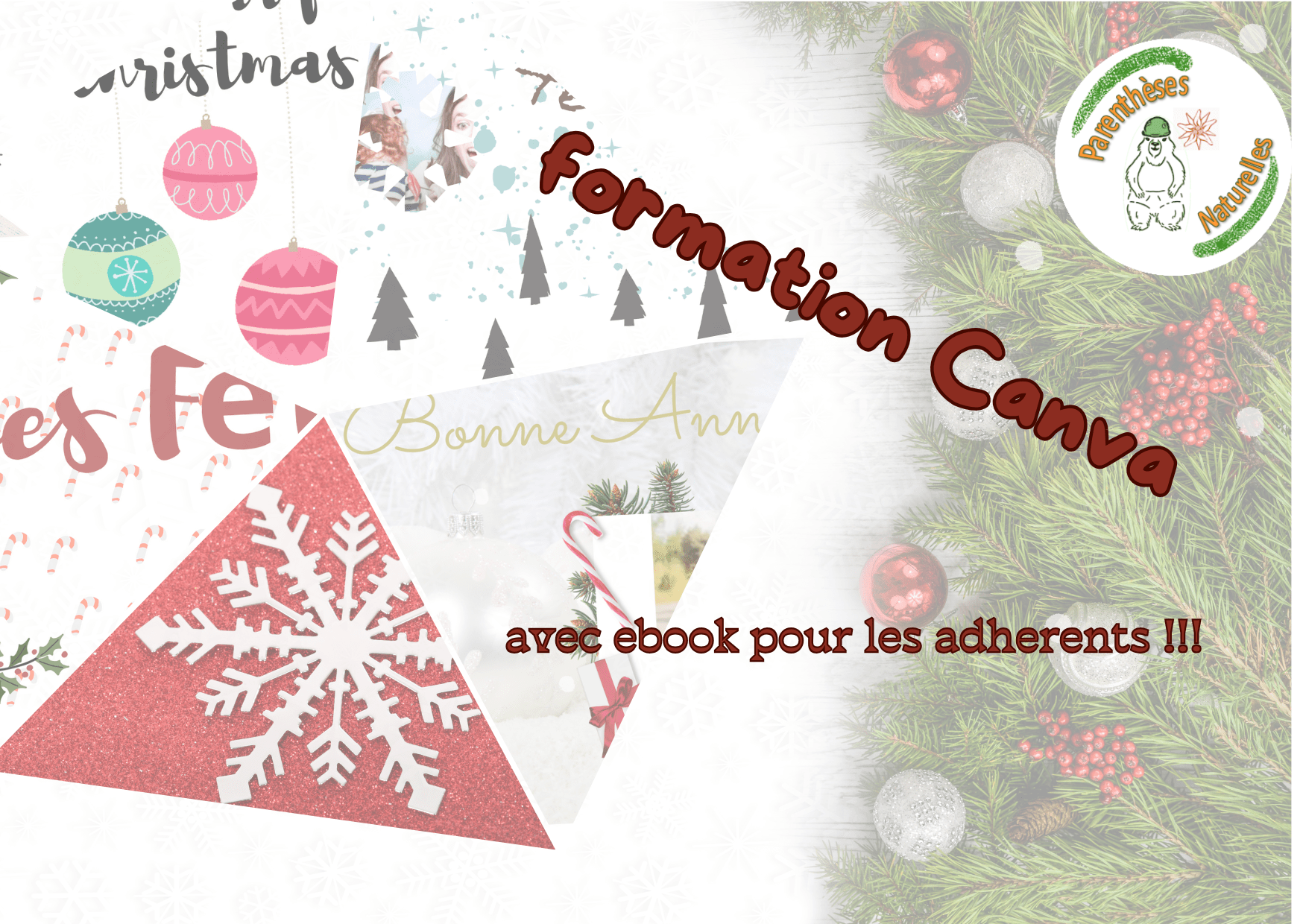 formation canva en visio dec 2024 