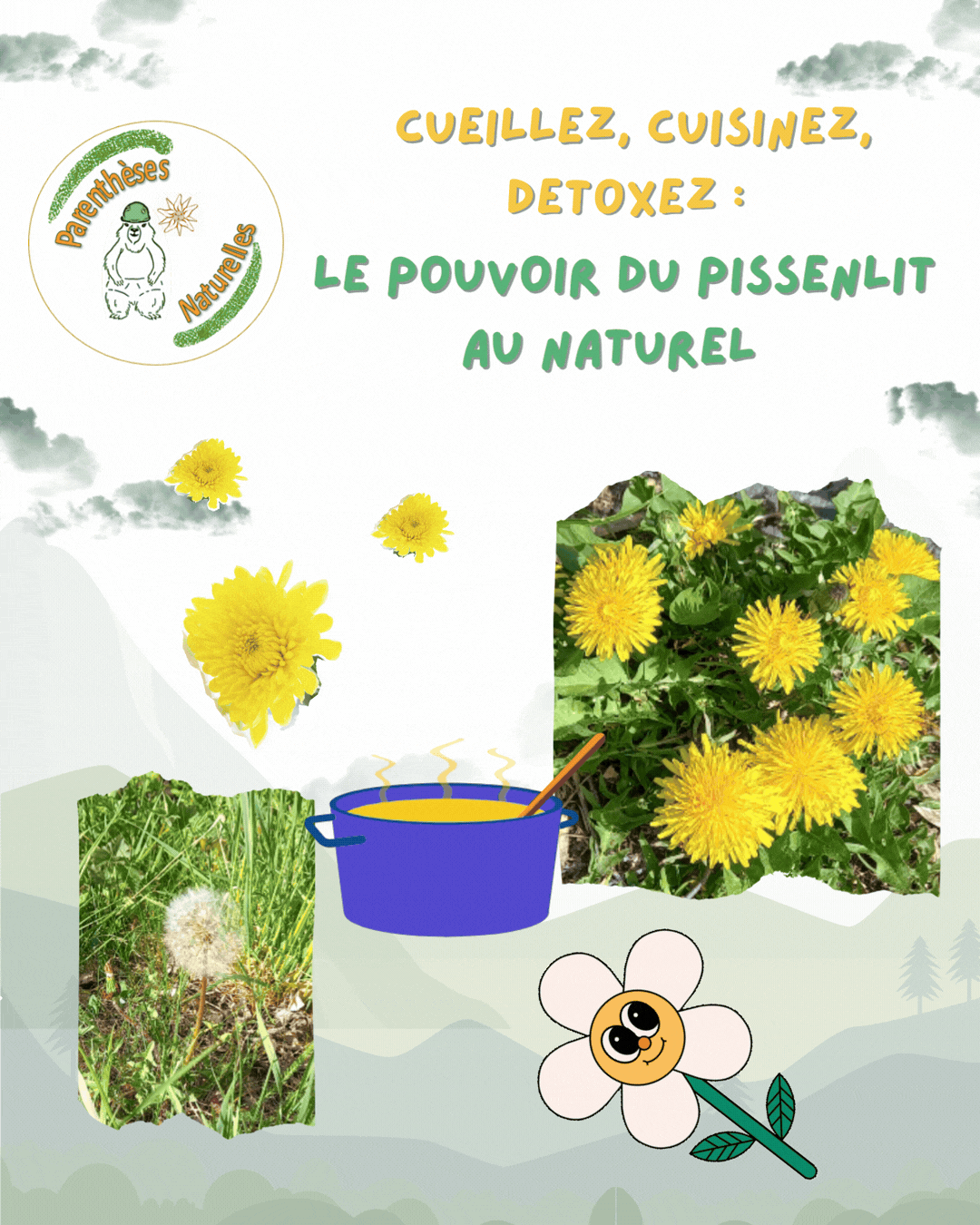 Fleurs de pissenlit jaunes dans un champ au printemps utilisées pour recettes détox naturelles
